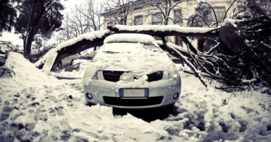 reclamar al seguro daños nieve