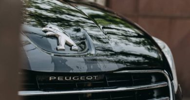peugeot revisión coche
